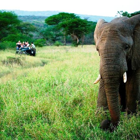 Thula Thula Exclusive Private Game Reserve & Lodge Ntambanana ภายนอก รูปภาพ