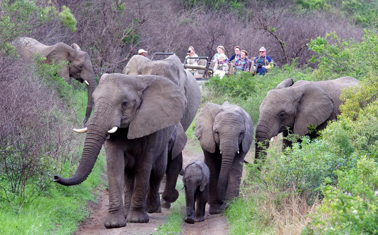 Thula Thula Exclusive Private Game Reserve & Lodge Ntambanana ภายนอก รูปภาพ