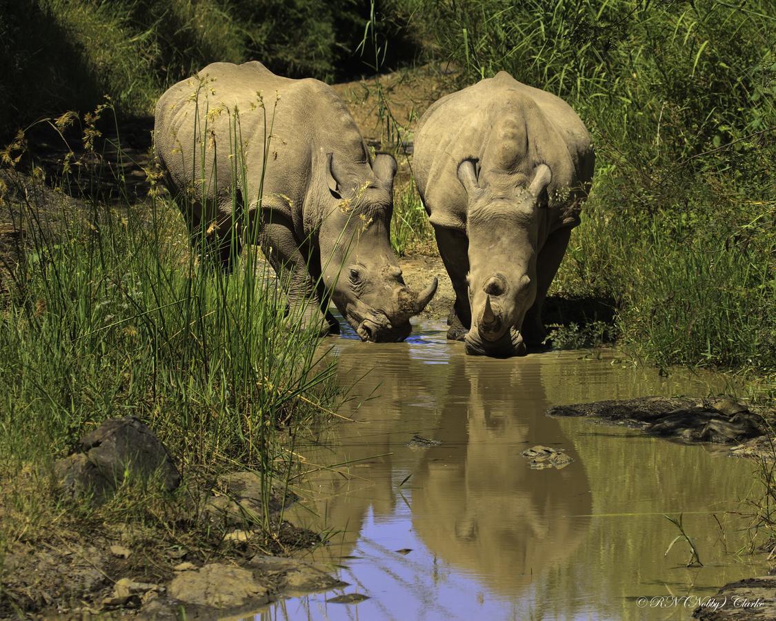Thula Thula Exclusive Private Game Reserve & Lodge Ntambanana ภายนอก รูปภาพ