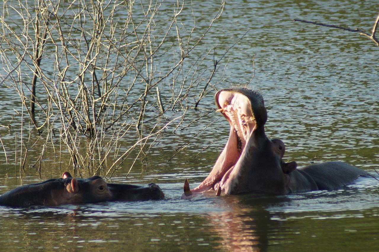 Thula Thula Exclusive Private Game Reserve & Lodge Ntambanana ภายนอก รูปภาพ