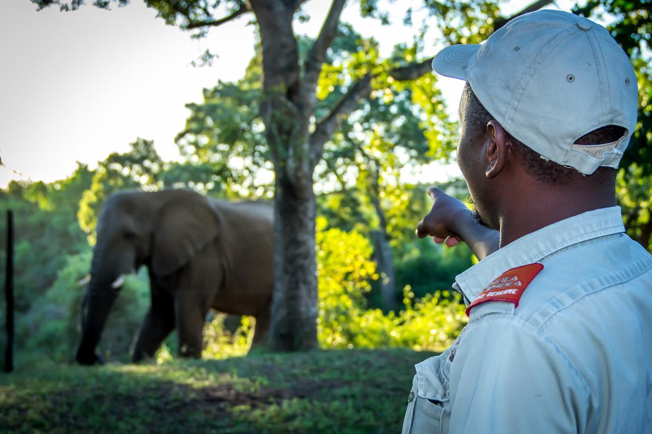 Thula Thula Exclusive Private Game Reserve & Lodge Ntambanana ภายนอก รูปภาพ