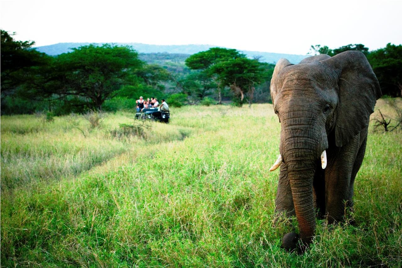 Thula Thula Exclusive Private Game Reserve & Lodge Ntambanana ภายนอก รูปภาพ