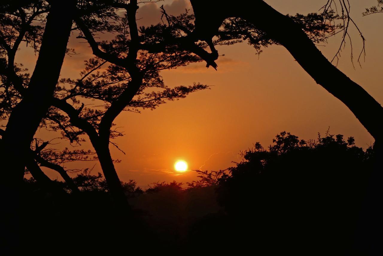 Thula Thula Exclusive Private Game Reserve & Lodge Ntambanana ภายนอก รูปภาพ